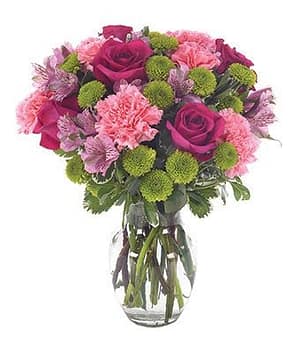 Pinky Purple in Green