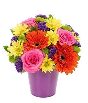 Happy Birthday Wishes