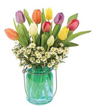 Tulip in Mason Jar