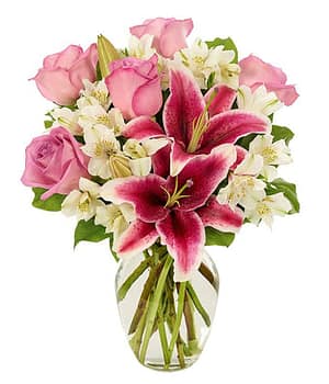 Stargazer Lily Flora