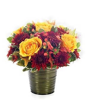 Autumn Garden Blooms
