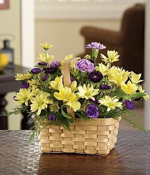 Sunshine Daisy Basket