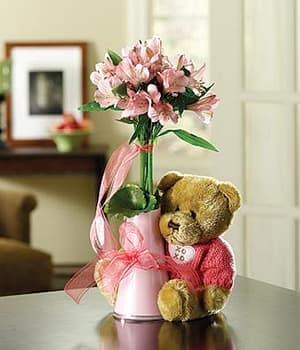 Cuddle Up & Get Well Bundle