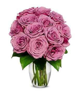 One Dozen Purple Roses