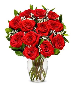 One Dozen Long Stemmed Red Roses