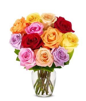 One Dozen Roses in Variety