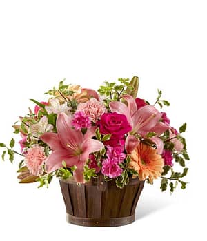 Lily Garden