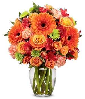 Vibrant and Bright