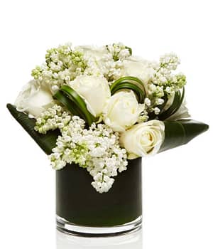 Ivory White