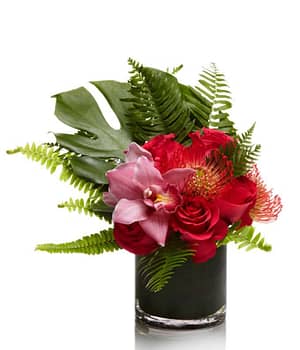 Tropical Rose & Orchid Elegance