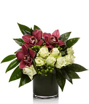 Burgundy and Emerald Wonders