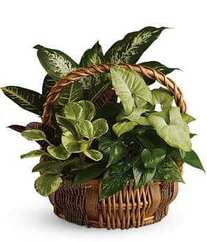 Lighted Garden Basket
