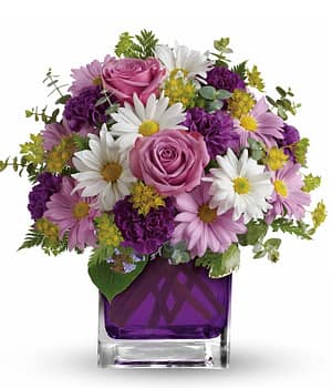 Purplish Flora