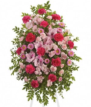 Pink Tribute Spray