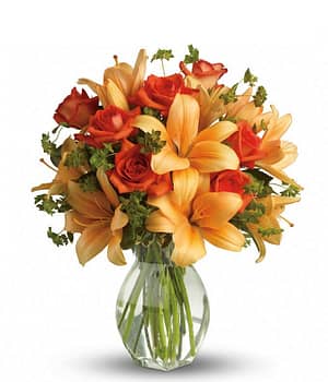 Fiery Lily and Rose