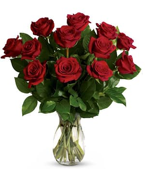 one dozen red roses