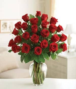 Two Dozen Roses - Local Florist